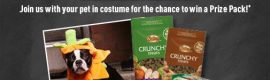 pet-valu-spooktacular